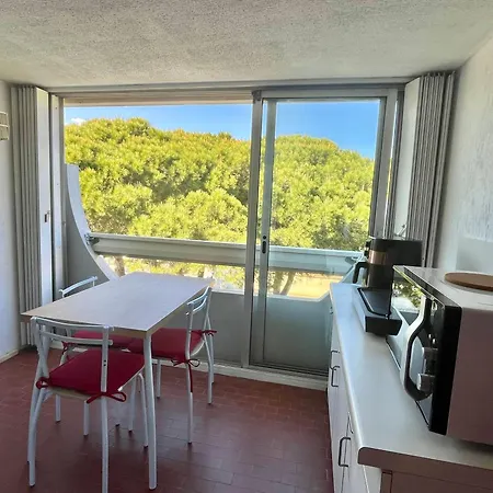 Au Grau-du-roi Avec Terrasse, Proche - Fr-1-716-89 Apartment